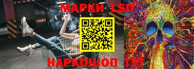 крисы Новозыбков