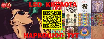 крисы Новозыбков