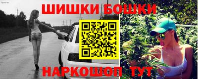 крисы Новозыбков