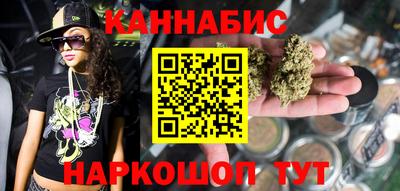 крисы Новозыбков