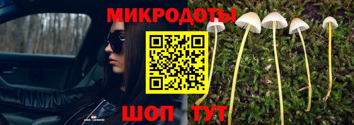 Галлюциногенные грибы мицелий  Псилоцибиновые грибы ЛСД  Нижнекамск  Вход с VPN 